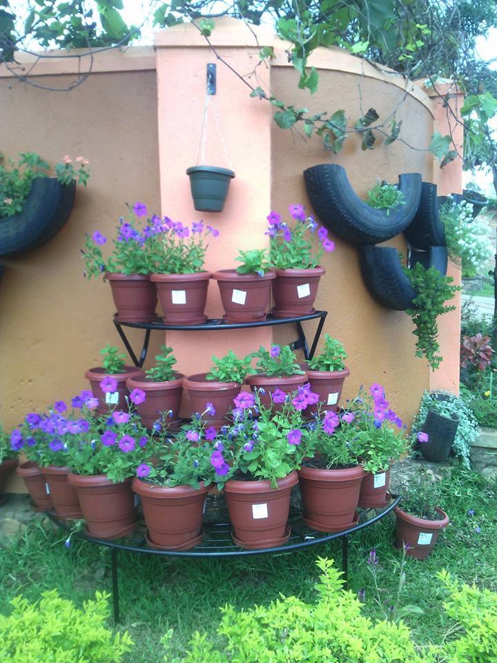 Gardening and Landscaping in Kampala Uganda. Ugabox